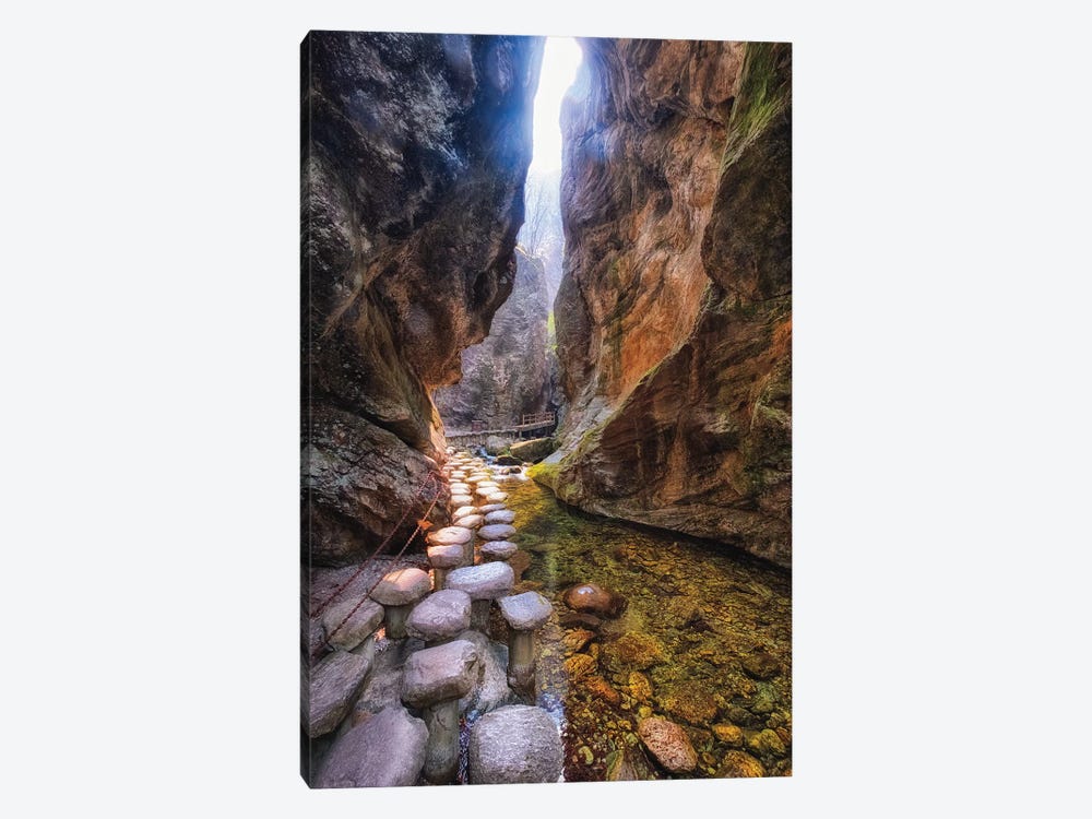 Creek Trail In A Narrow Gorge by George Oze 1-piece Canvas Art