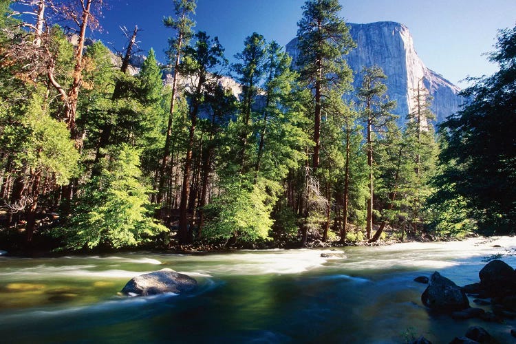 Merced River With The El Capitan, Yosemite National Park, California