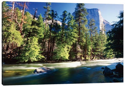 Merced River With The El Capitan, Yosemite National Park, California Canvas Art Print - Yosemite National Park Art