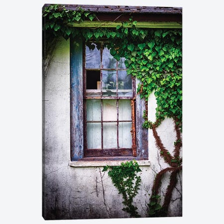 Old Weatherworn Window Overgrown With Ivy Canvas Print #GOZ272} by George Oze Canvas Art