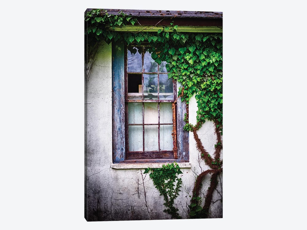 Old Weatherworn Window Overgrown With Ivy by George Oze 1-piece Canvas Print