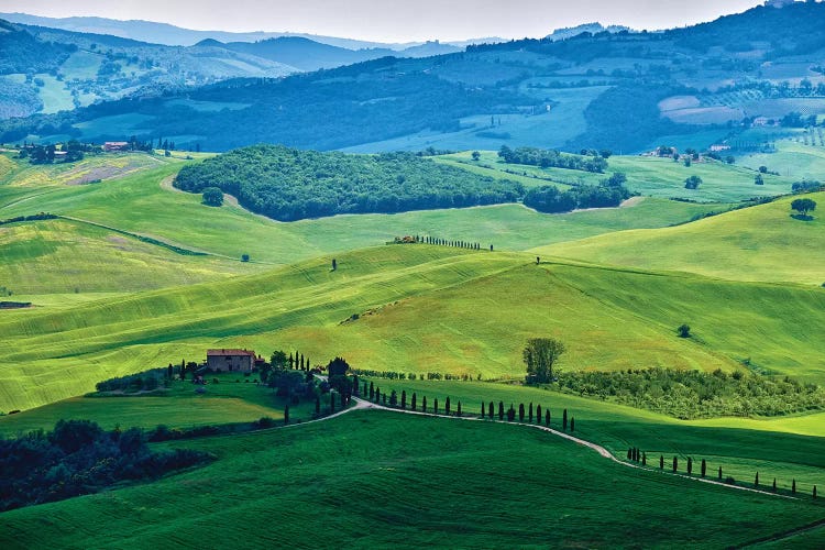 Rolling Hills With Farms, Val D'Orcia, Tuscany, Italy by George Oze wall art