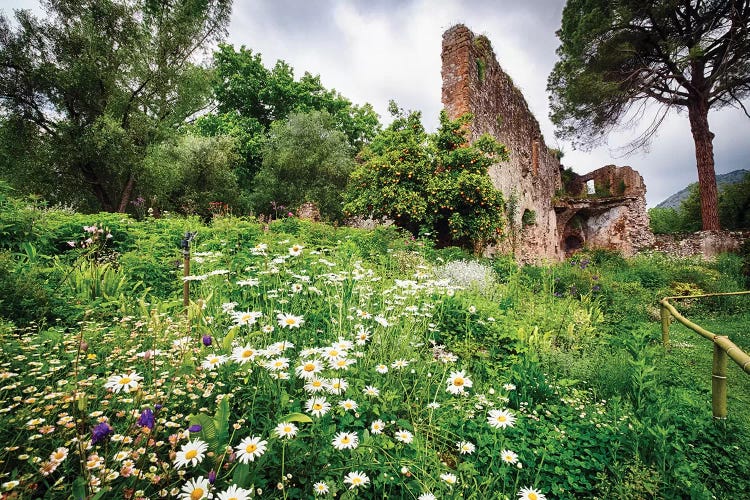 Ruins In A Garden With Flowers And Orange Tree