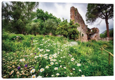 Ruins In A Garden With Flowers And Orange Tree Canvas Art Print - George Oze