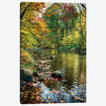 Fall Scene With A Creek, Oldwick, New Jersey Canvas Print #GOZ298} by George Oze Canvas Artwork