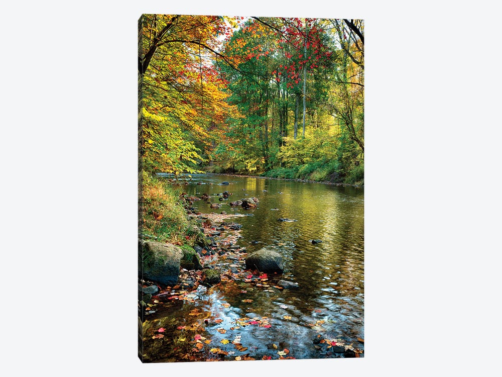 Fall Scene With A Creek, Oldwick, New Jersey by George Oze 1-piece Canvas Print