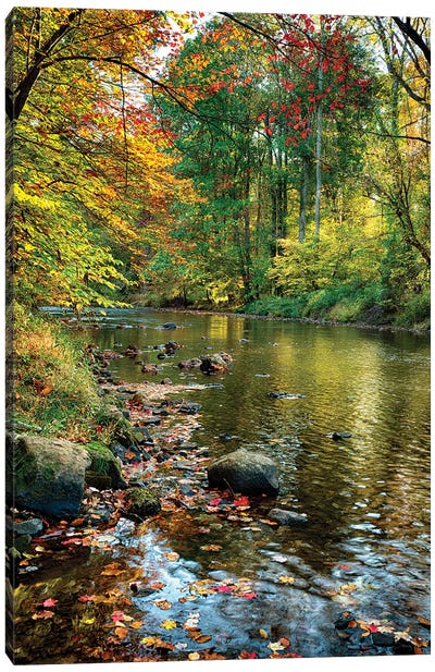 Fall Scene With A Creek, Oldwick, New Jersey Canvas Art Print - George Oze