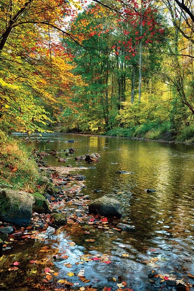 George Oze: Fall Scene With A Creek, Oldwick, New Jersey by George Oze