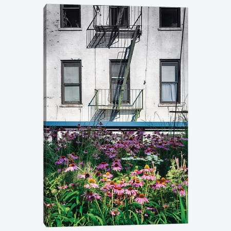 Urban Meadow, New York City Canvas Print #GOZ308} by George Oze Canvas Wall Art