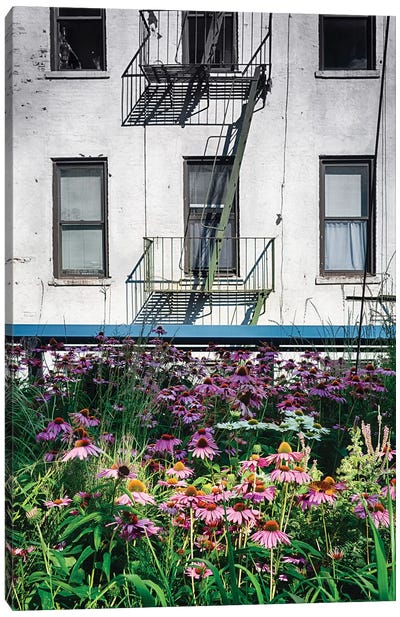 Urban Meadow, New York City Canvas Art Print - Authenticity