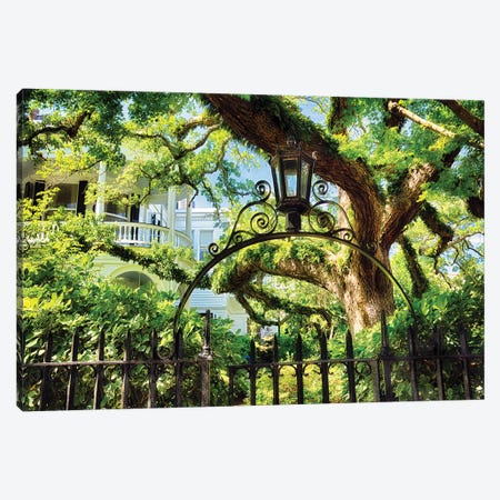 Giant Ivy Covered Oak Tree, Historic District, Charleston, South Carolina Canvas Print #GOZ323} by George Oze Canvas Art