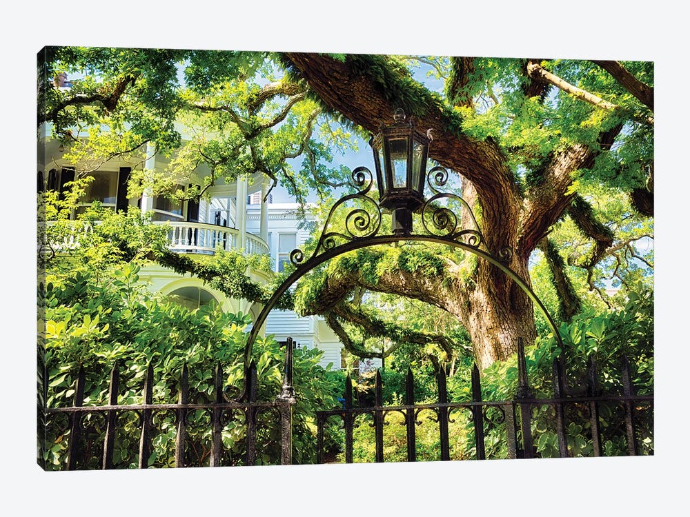 Giant Ivy Covered Oak Tree, Historic District, Charleston, South Carolina by George Oze 1-piece Canvas Wall Art