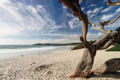 Carmel-By-The-Sea