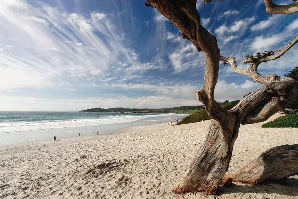 George Oze: Beach View Carmel By The Sea California by George Oze