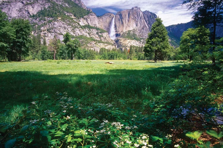 Yosemite Valley And Falls