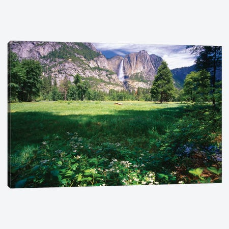 Yosemite Valley And Falls Canvas Print #GOZ334} by George Oze Canvas Art