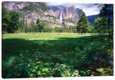 Yosemite Valley And Falls Canvas Art Print - Yosemite National Park Art