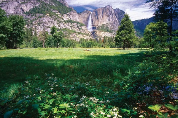 George Oze: Yosemite Valley And Falls by George Oze