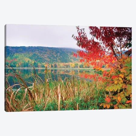 Scenic Lake At Fall, Acadia National Park, Maine Canvas Print #GOZ349} by George Oze Canvas Art