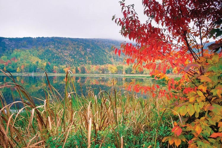 Scenic Lake At Fall, Acadia National Park, Maine