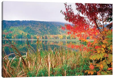 Scenic Lake At Fall, Acadia National Park, Maine Canvas Art Print - Maine Art