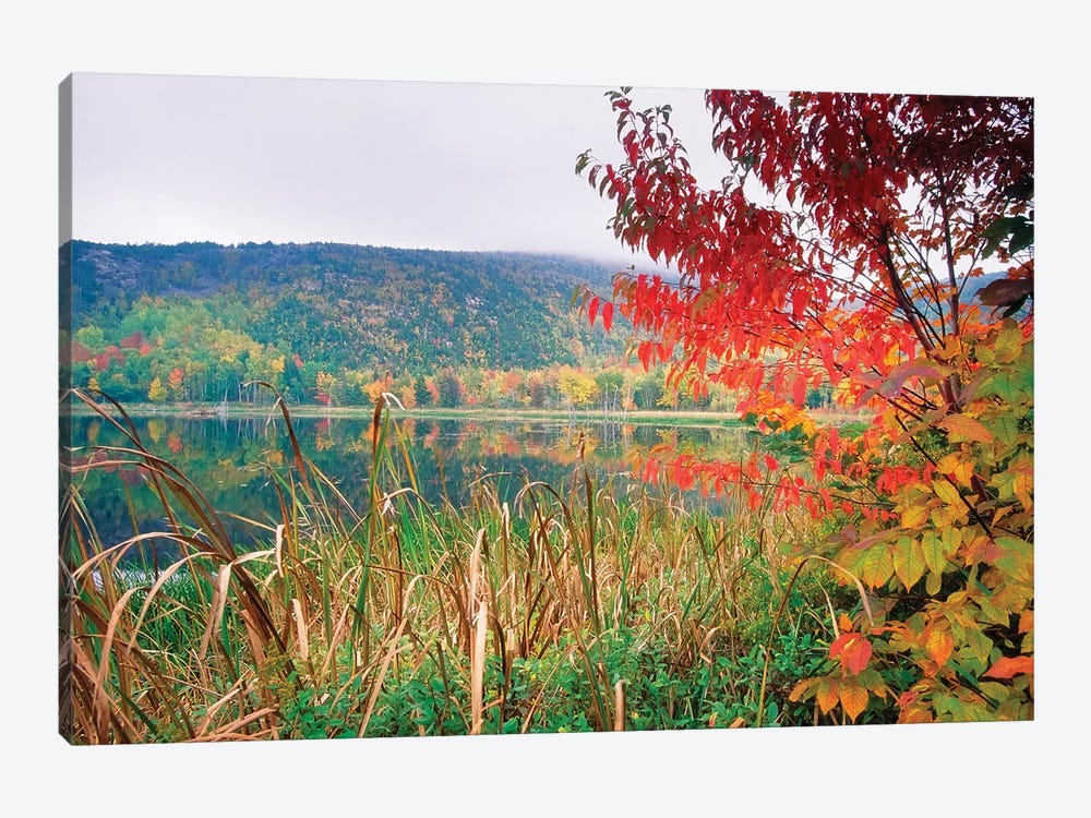 Scenic Lake At Fall, Acadia National Park, Maine by George Oze 1-piece Canvas Art