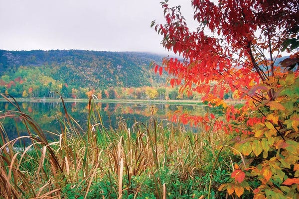 Scenic Lake At Fall, Acadia National Park, Maine