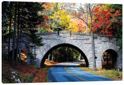 Stone Bridge Over A Carriage Road, Acadia National Park, Maine Canvas Art Print - Acadia National Park Art