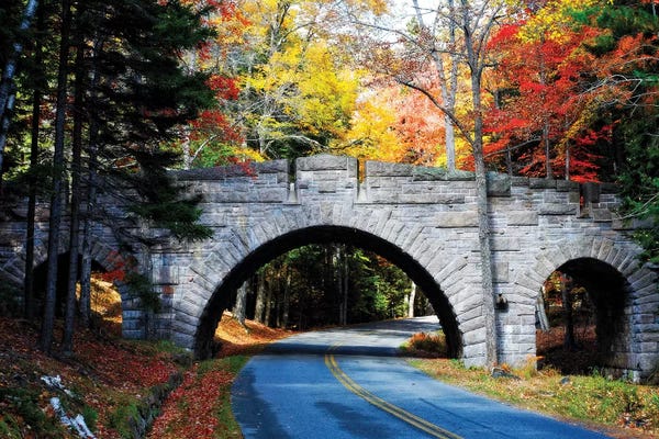 George Oze: Stone Bridge Over A Carriage Road, Acadia National Park, Maine by George Oze