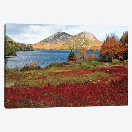 Jordan Pond And The Bubbles, Fall Scenic View, Acadia National Park, Maine Canvas Print #GOZ353} by George Oze Canvas Art Print