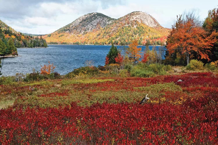 Jordan Pond And The Bubbles, Fall Scenic View, Acadia National Park, Maine