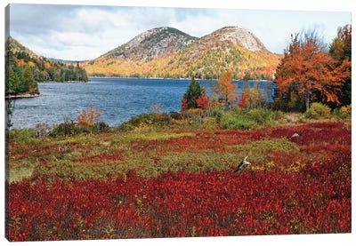 Jordan Pond And The Bubbles, Fall Scenic View, Acadia National Park, Maine Canvas Art Print - Maine Art
