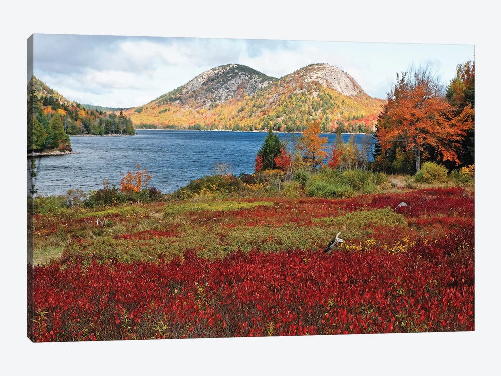 Jordan Pond And The Bubbles, Fall Scenic View, Acadia National Park, Maine by George Oze 1-piece Canvas Print