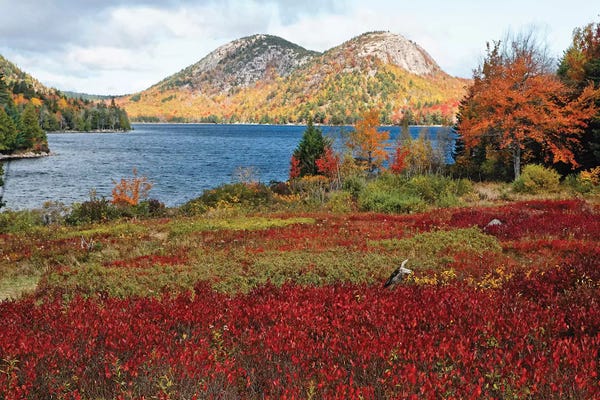 George Oze: Jordan Pond And The Bubbles, Fall Scenic View, Acadia National Park, Maine by George Oze