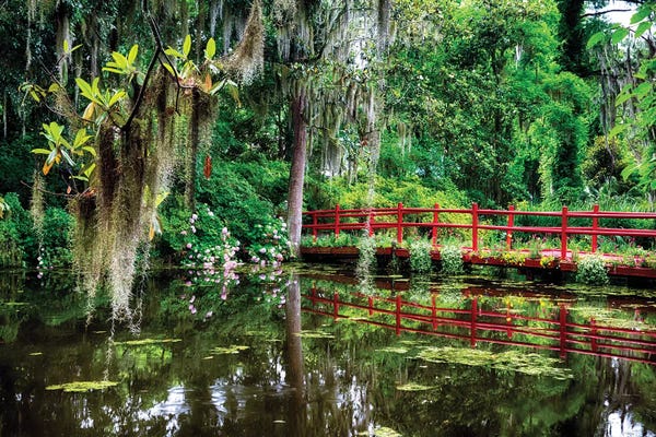South Carolina: Little Red Footbridge Over A Pond, Magnolia Plantation, Charleston, South Carolina by George Oze