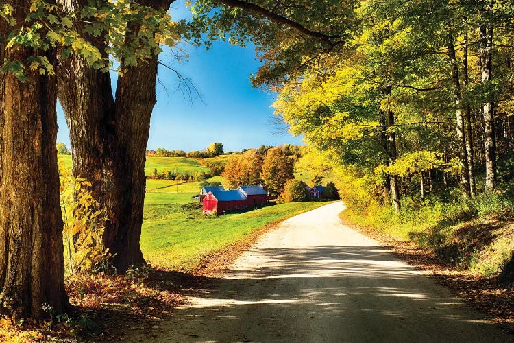 Vermont Farm Along A Country Road by George Oze wall art