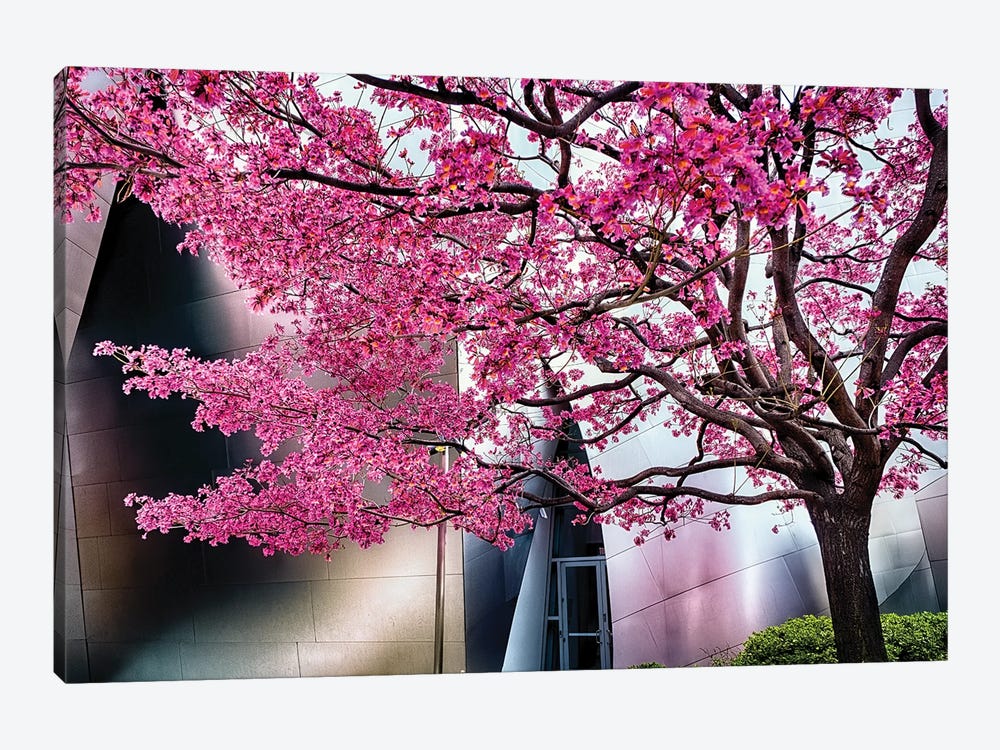 Urban Spring by George Oze 1-piece Canvas Wall Art