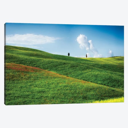Rolling Hills With Cypress Trees, Tuscany, Italy Canvas Print #GOZ399} by George Oze Canvas Print