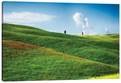 Rolling Hills With Cypress Trees, Tuscany, Italy Canvas Art Print - George Oze