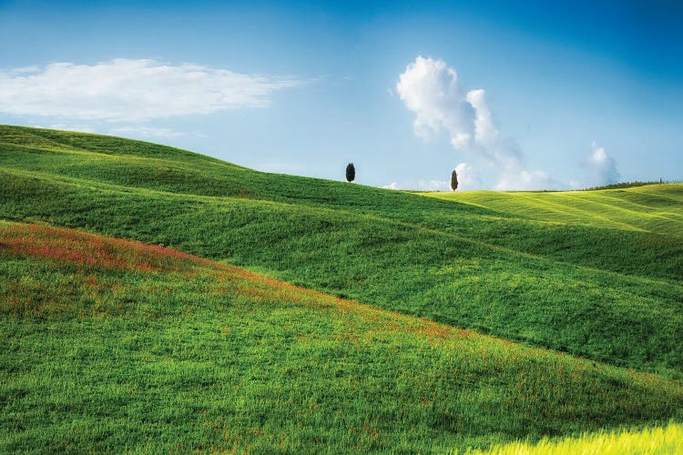 Rolling Hills With Cypress Trees, Tuscany, Italy by George Oze wall art