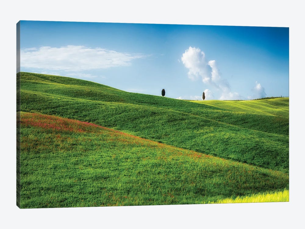 Rolling Hills With Cypress Trees, Tuscany, Italy by George Oze 1-piece Art Print