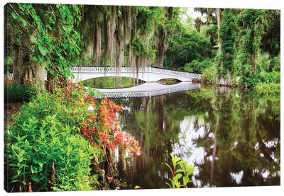 Little White Wooden Footbridge In A Lake, Magnolia Plantation, Charleston, South Carolina Canvas Art Print - George Oze