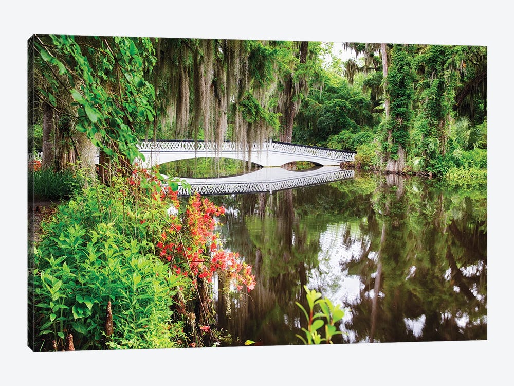 Little White Wooden Footbridge In A Lake, Magnolia Plantation, Charleston, South Carolina by George Oze 1-piece Canvas Art Print