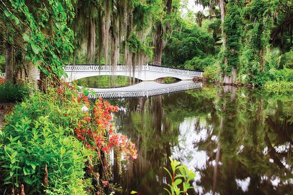 George Oze: Little White Wooden Footbridge In A Lake, Magnolia Plantation, Charleston, South Carolina by George Oze