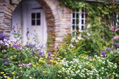 Dream Cottage II by George Oze canvas print