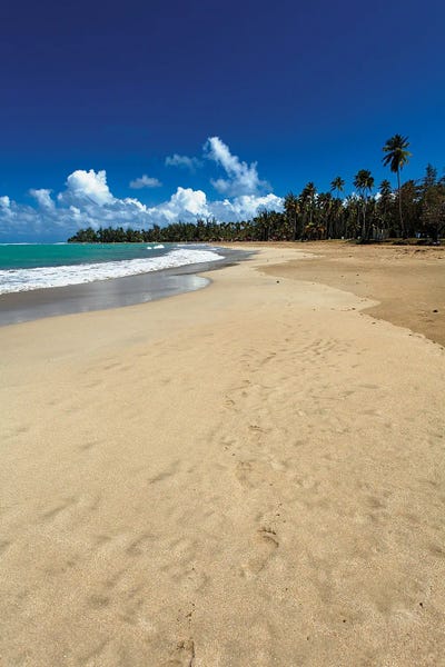 George Oze: Luquillo Beach, Puerto Rico by George Oze