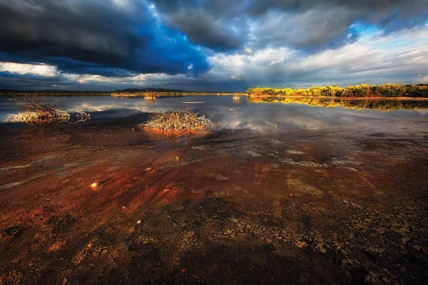 Puerto Rico: Saltwater Marsh Landscape, Cabo Rojo, Puerto Rico by George Oze
