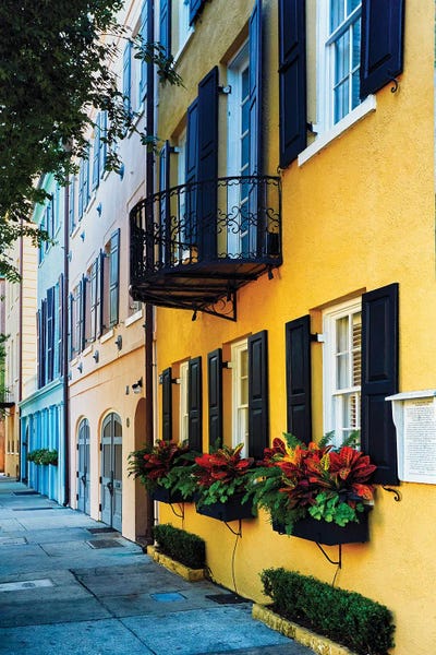 Rainbow Row Iv, Charleston by George Oze art print