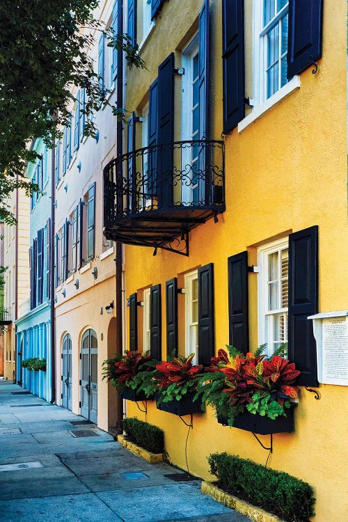 Rainbow Row Iv, Charleston by George Oze wall art