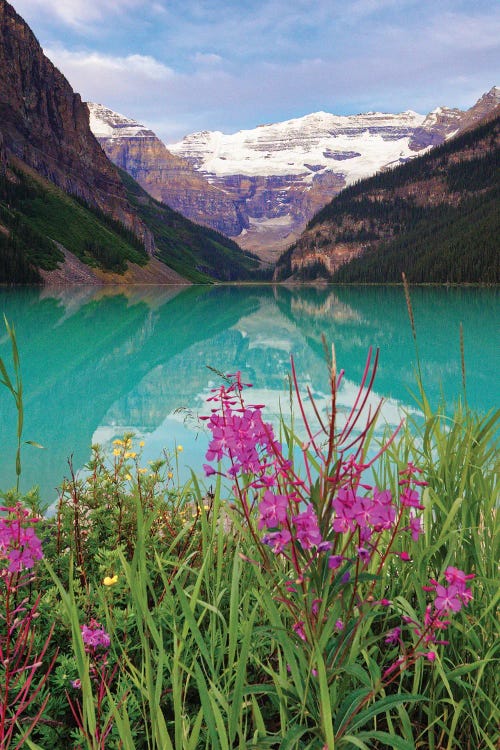 Pink Firewood At Lake Louise, Alberta, Canada by George Oze wall art